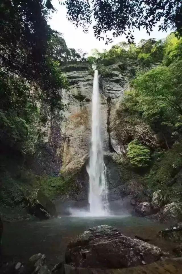 逃离绿色山谷