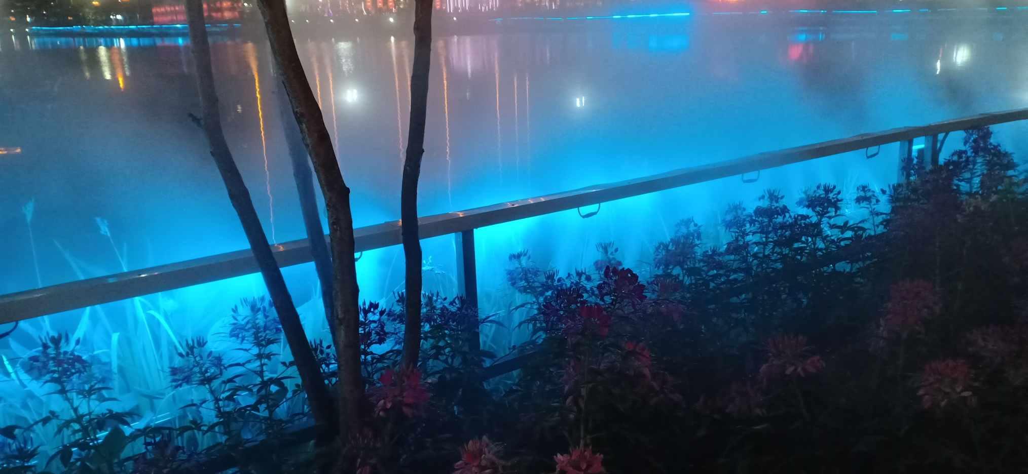火龙冒险
